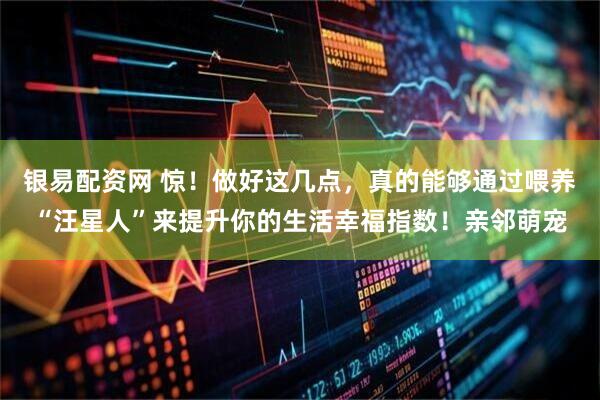 银易配资网 惊！做好这几点，真的能够通过喂养“汪星人”来提升你的生活幸福指数！亲邻萌宠