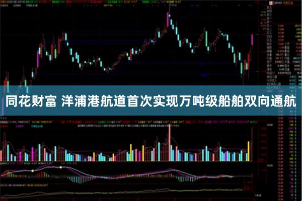 同花财富 洋浦港航道首次实现万吨级船舶双向通航